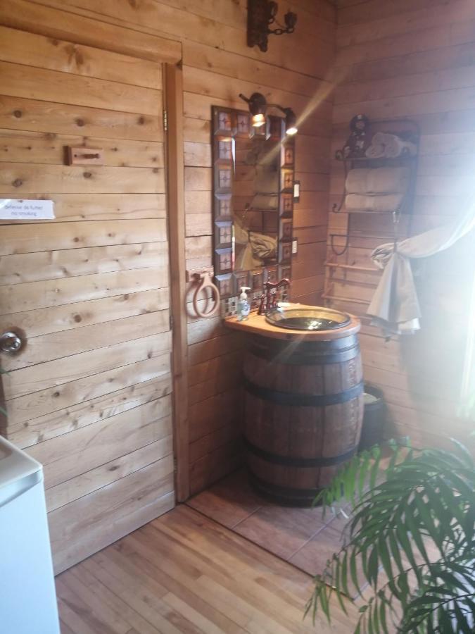 مبيت وإفطار Lévis L'Oasis Du Pirate المظهر الخارجي الصورة